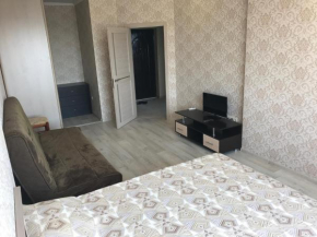 Apartment on Surikova 60